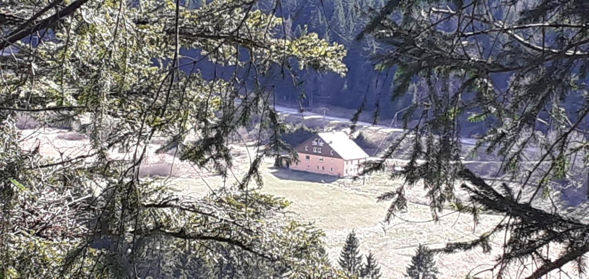 Domaine Des Hauts Viaux La Bresse Exterior foto