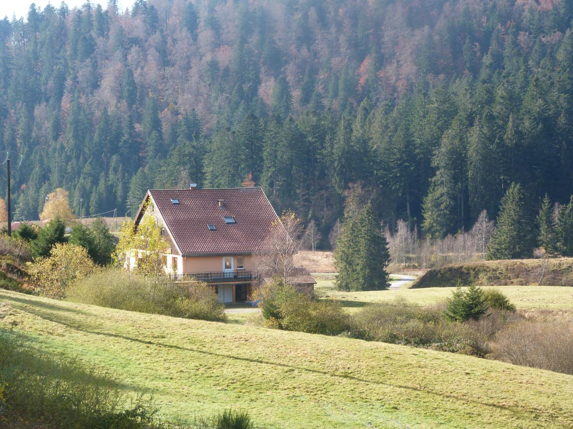 Domaine Des Hauts Viaux La Bresse Exterior foto