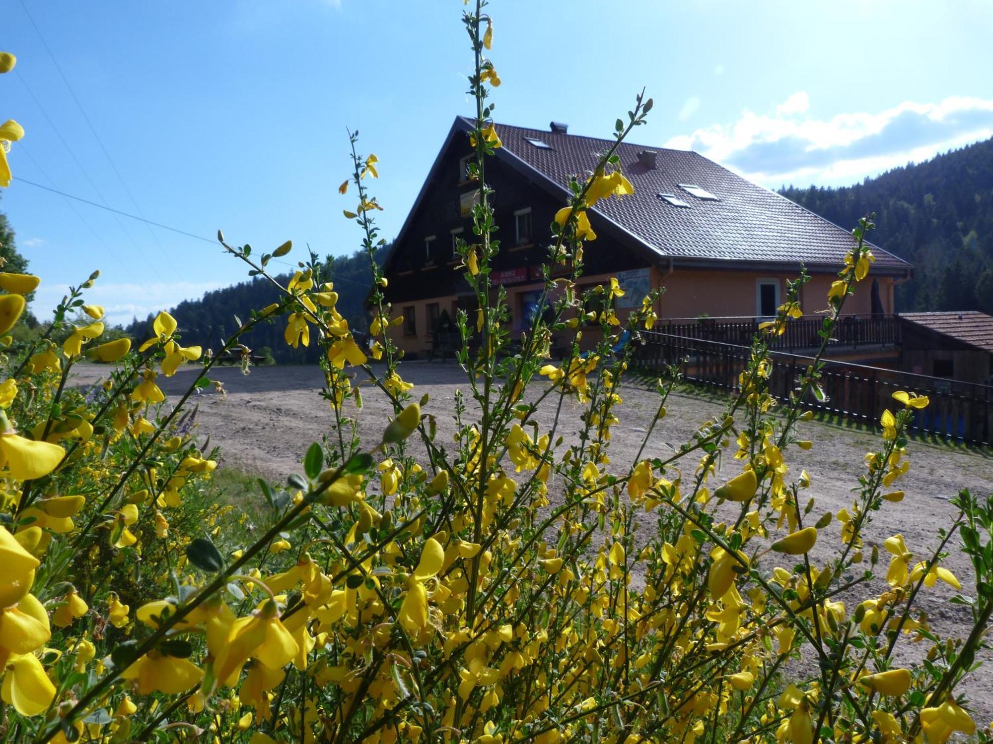 Domaine Des Hauts Viaux La Bresse Exterior foto
