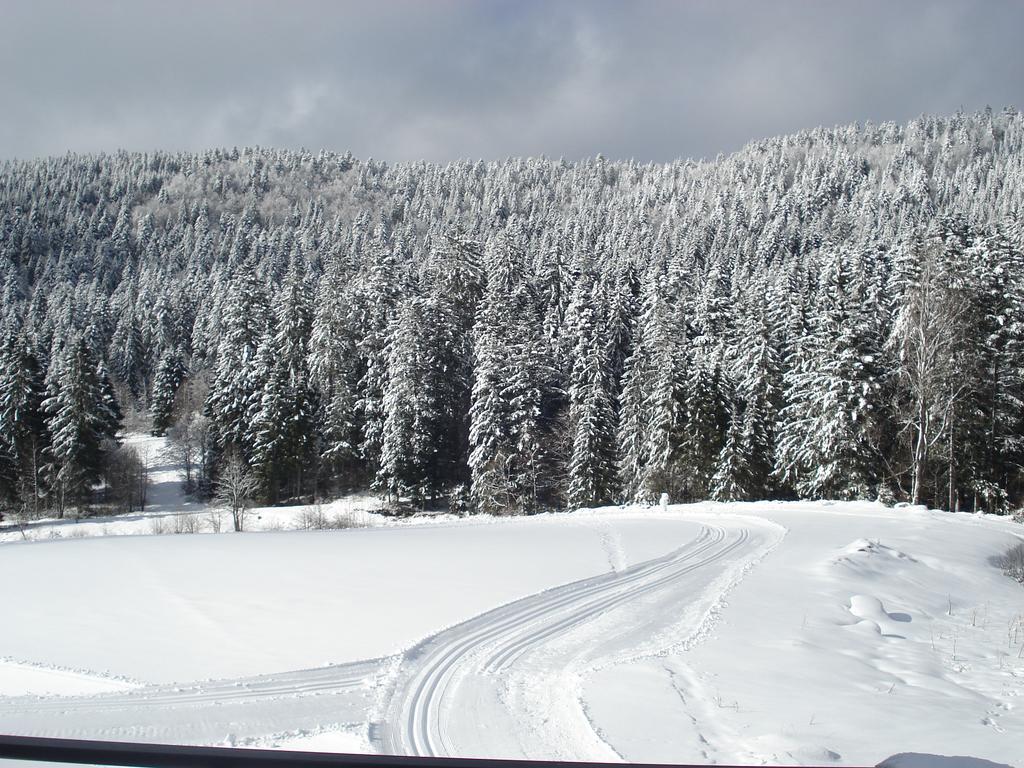 Domaine Des Hauts Viaux La Bresse Exterior foto