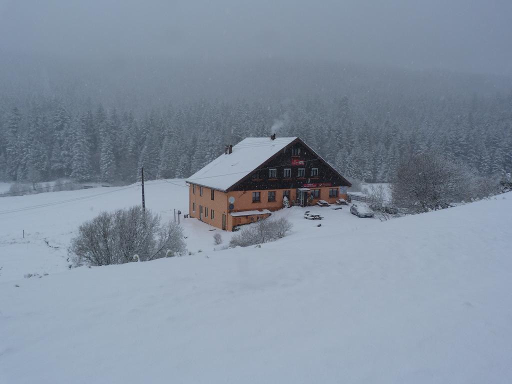 Domaine Des Hauts Viaux La Bresse Exterior foto
